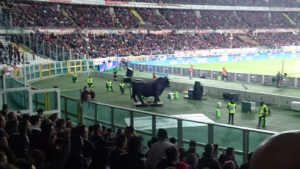 Torino Football Trip