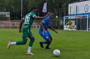 Zingu Tasmania Berlin